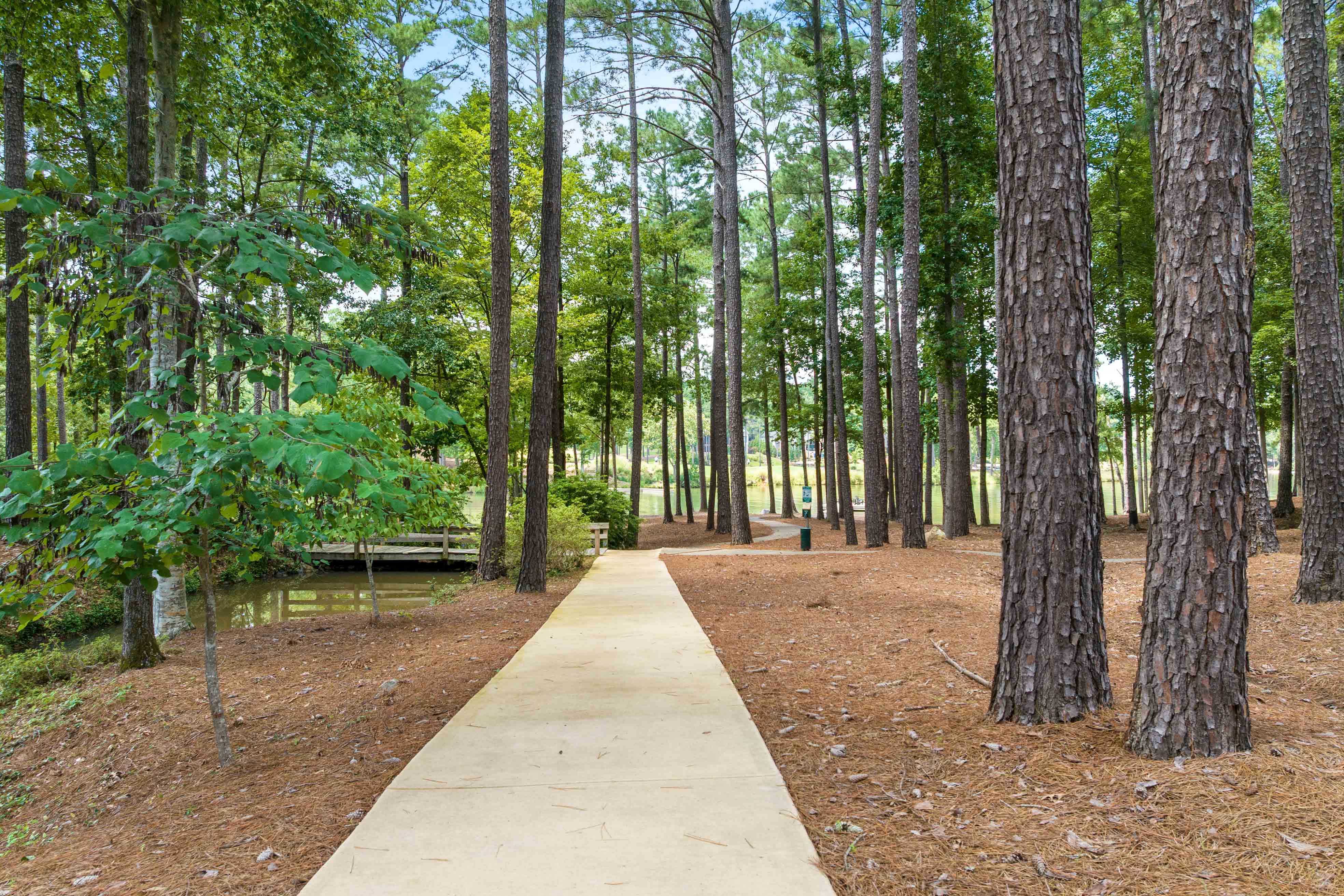 1010C Portage Trail image 42